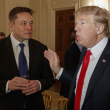 Trump designará a Elon Musk para liderar comité que audite medidas del Gobierno si gana elecciones