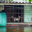 El huracán Helene se aleja de Cuba: lluvia, viento, apagones y daños en la agricultura