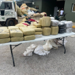 Agentes ocupan 264 libras de marihuana en pedernales