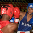 Copa Regional Este de Boxeo Superior comienza este viernes en Boyá