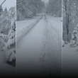 Fuertes nevadas en Pensilvania escuelas cerradas y caos en las carreteras