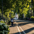 Los árboles pueden retener calor en las ciudades por las noches