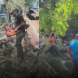 Construirán casa a doña Mirita destruida por caída de un árbol en Galván