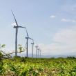 Transición energética ya no es opcional para República Dominicana: es obligatoria e imprescindible