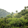 Medio Ambiente dice que proyecto minero en San Juan se encuentra en fase de evaluación técnica