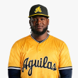 Águilas Cibaeñas contratan al veterano lanzador Lisalverto Bonilla