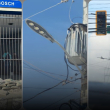Apagón nacional: Un “blackout” se registra en RD; el metro y el teleférico salen de servicio