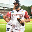 Sánchez, Mazara y Hernández lideran remontada de los Gigantes del Cibao
