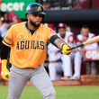Águilas logran su primer triunfo del round robin contra los Gigantes