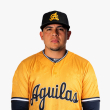 Las Águilas contratan un infielder y dos relevistas como refuerzos