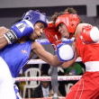 Medina brilla con autoridad en segunda jornada XLV Copa Independencia de Boxeo