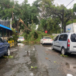 Fuertes brisas y lluvias provocan caída de árboles y daños a vehículos en Gascue