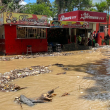Desbordamiento del Yaque del Norte pone en alerta roja a Castañuelas