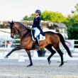 Yvonne Losos logra doblete histórico y gana el Grand Prix y el Grand Prix Special CDI3*