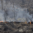 Controlan incendio forestal en Valle Nuevo