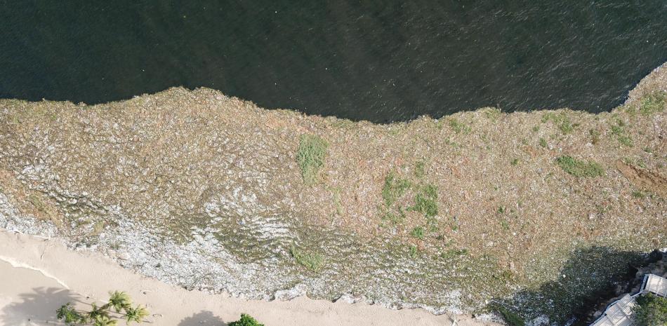 Mucha basura en playa montesinos