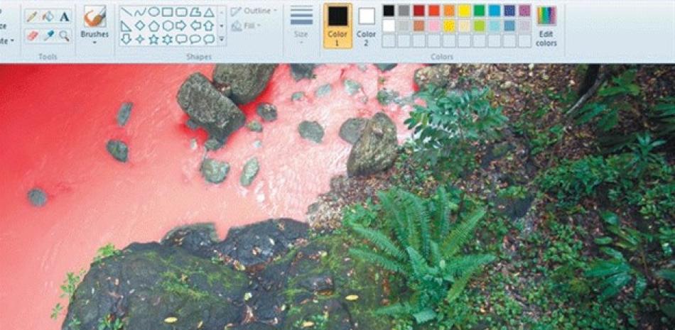 Exhibición. Díaz participó con la fotografía La jungla.