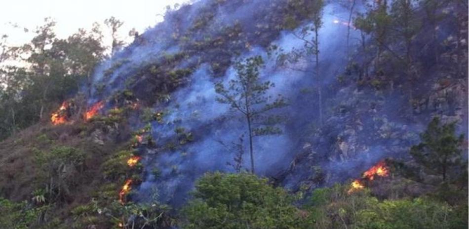 Autoridades de Medio Ambiente buscan apagar incendio.
