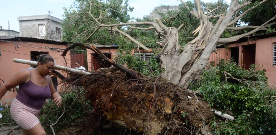Secuelas. Los vientos de la tormenta tropical Erika derribaron árboles, letreros y postes del tendido eléctrico en diferentes puntos del país.