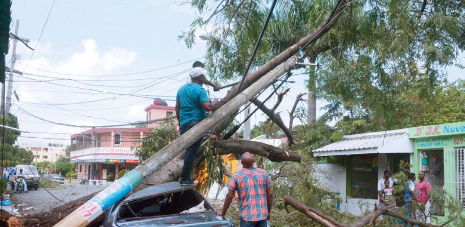 Daño. Los mayores daños ocasionados al sistema eléctrico nacional durante la tormenta fueron causados por árboles.