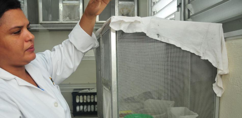 Salud. María Paulino, encargada del Insectario del Cencet, muestra las investigaciones que se realizan sobre la población de mosquitos.