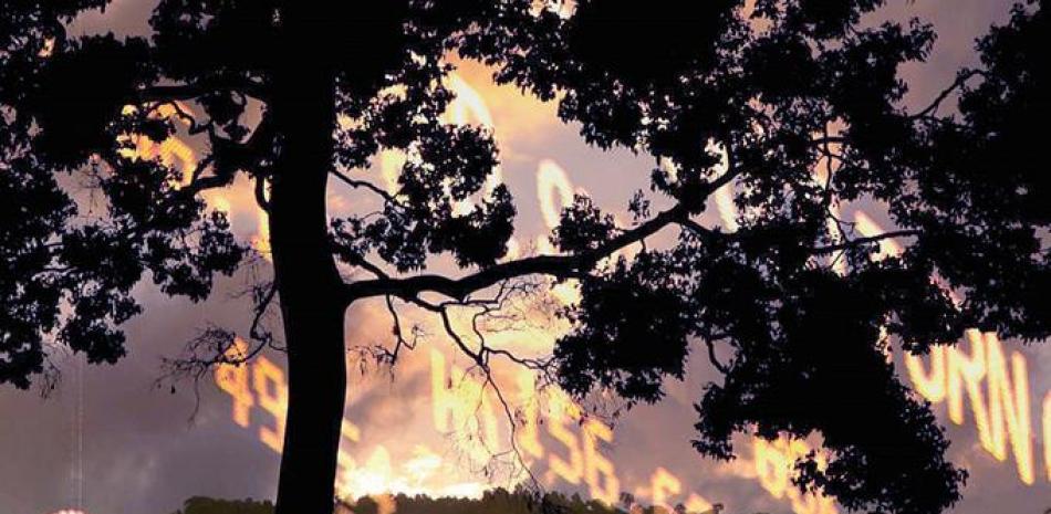 Cambio climático. Los incendios forestales y la desforestación tienen su impacto en el cambio de clima.