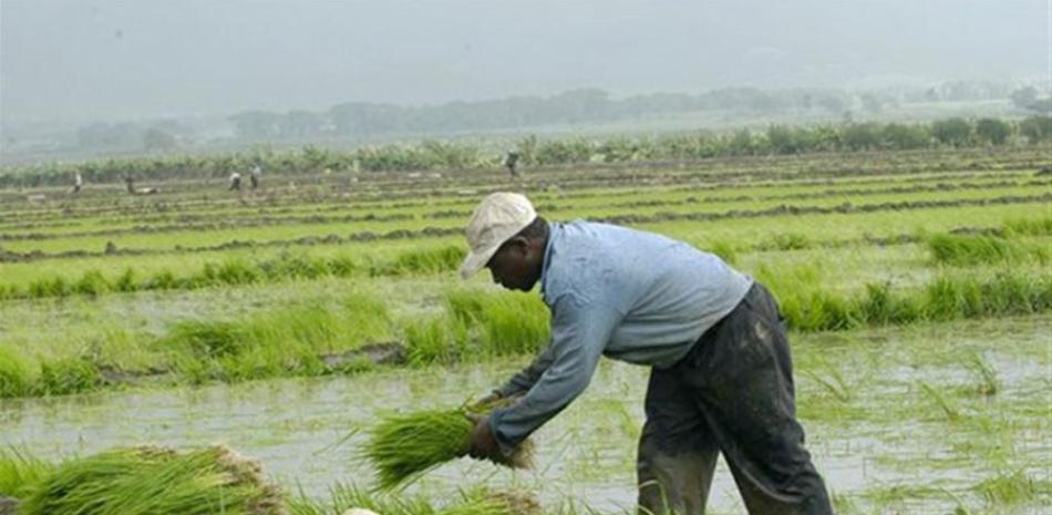 Informe. Agricultura informó que las lluvias beneficiaron el sector, que hace años estaba siendo afectado por una fuerte sequía.