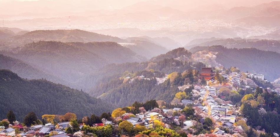 Turismo. En el pueblo de Yoshino se han habilitado varias rutas panorámicas para que los visitantes disfruten de la temporada de cerezos en flor.