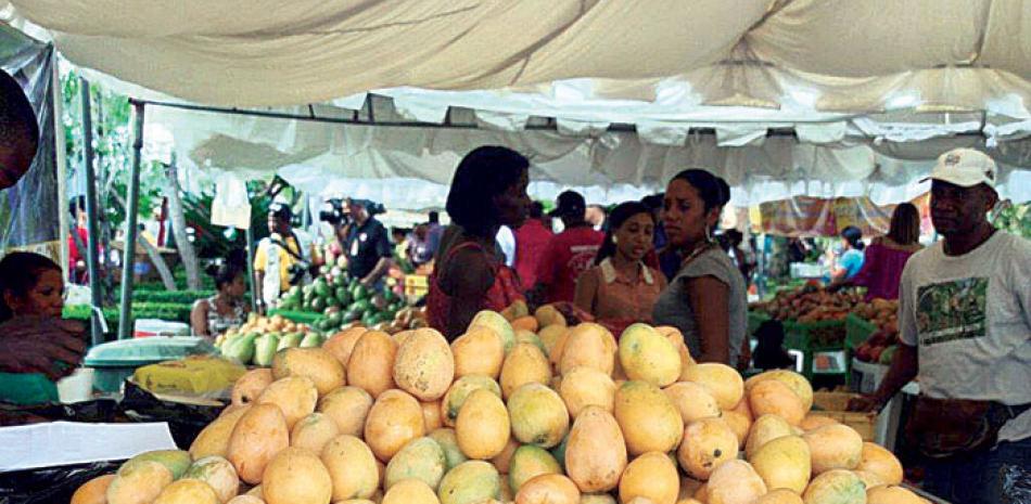 Evento. Variedades de la fruta que ya se exhiben en Expo Mango 2016