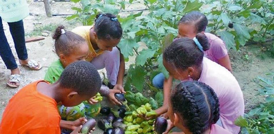 Cultivo. Niños y niñas cosechan los primeros vegetales del proyecto “El huerto de mi casa”.