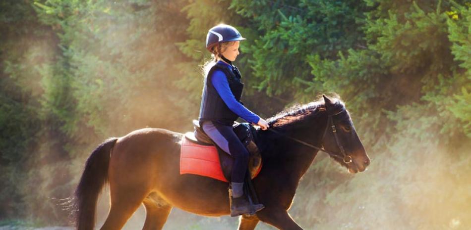 Programa. Este está diseñado para jóvenes amantes de los caballos con edades de cuatro a 14 años.