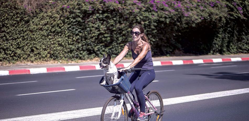 Ejercicio. Andar o montar bicicleta es suficiente para reducir los efectos de estar sentados por largo tiempo.