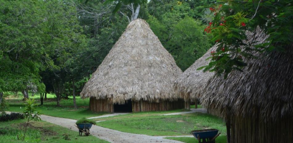 Ricardo García: “En términos de atractivos de recreación el Sendero Educativo Taíno va a ser una de las áreas más fuertes del Botánico. Incluso ya es muy usado por los miembros del Club de Caminantes del parque”. ©Glauco Moquete