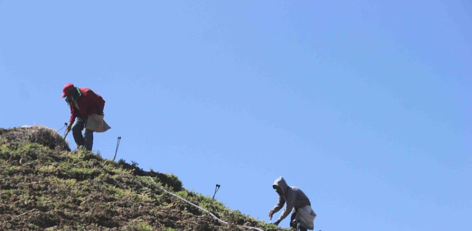 Dos hombres realizan labores agrícolas en el área protegida de Valle Nuevo, en Constanza, donde el Ministerio de Medio Ambiente ha otorgado un plazo hasta mañana domingo para que cesen esas actividades.