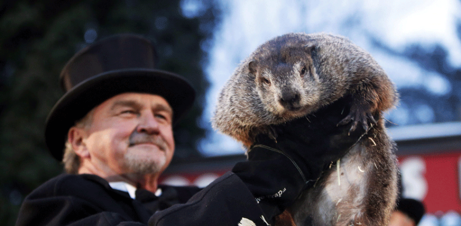 El miembro del Club de la Marmota John Griffiths (c) muestra a la marmota Phil, el animal meteorólogo más famoso del mundo, durante la celebración del Día de la Marmota en la pequeña colina de Gobbler's Knob en Punxsutawney, Pensilvania (Estados Unidos) hoy, 2 de febrero de 2017.