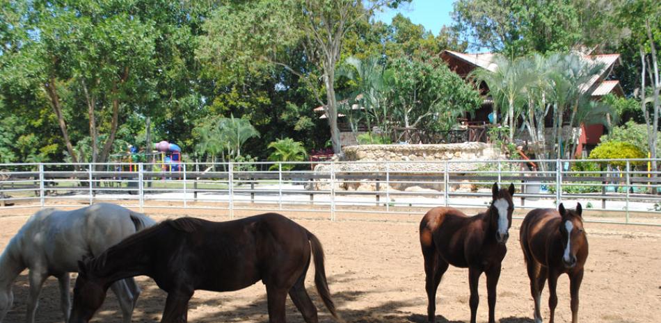 Qué hacer. Montar a caballo es una de las actividades que más se desarrolla en el área del rancho.