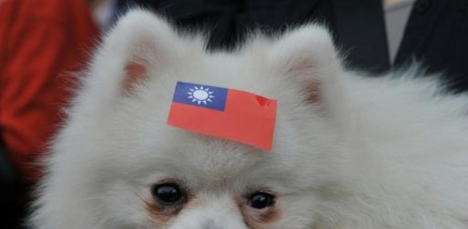 Un perro con una etiqueta con la bandera de Taiwán en una manifestación en Taipei el 4 de mayo de 2014 (AFP/Archivos | Mandy Cheng)