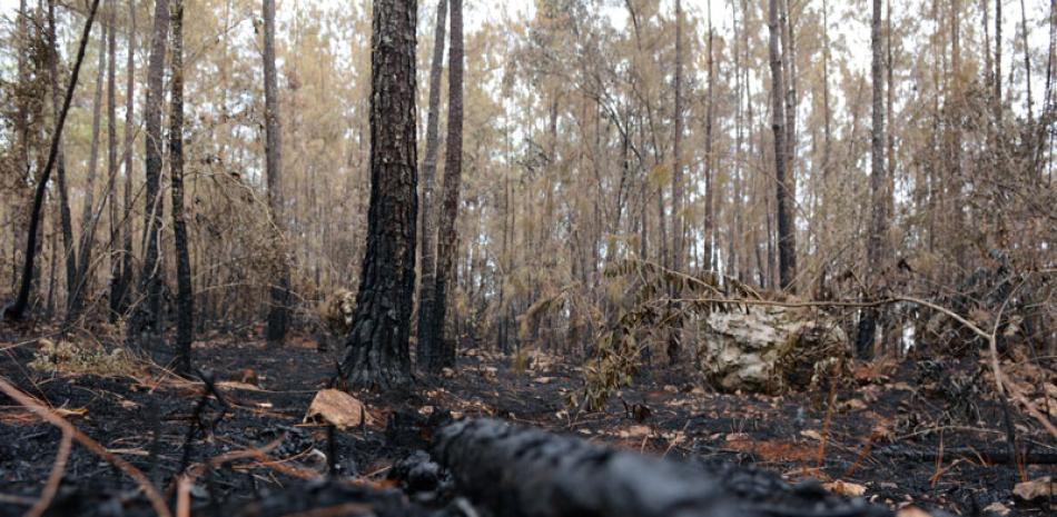 Impacto. La Sierra de Bahoruco ha quedado convertida en un bosque de humo debido a los incendios forestales.