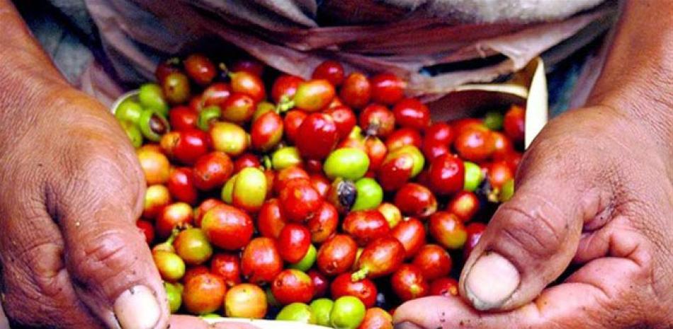Iniciativa busca incrementar la competitividad del café y el cacao.