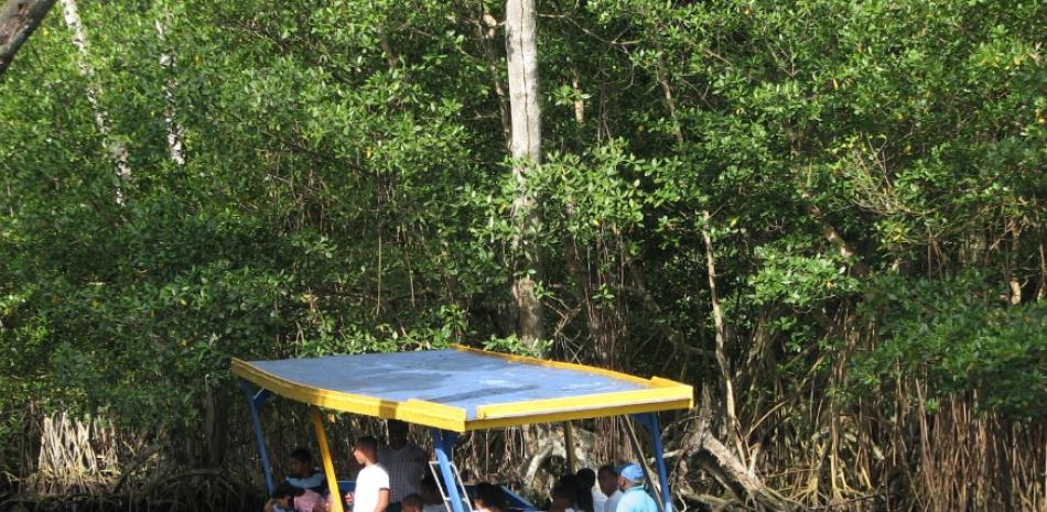 LAGUNA GRI-GRI. Increíblemente altos y saludables, el manglar de la laguna de Río San Juan acoge una gran biodiversidad. Los manglares son bosques exclusivos de los trópicos. ©Yaniris López/LD