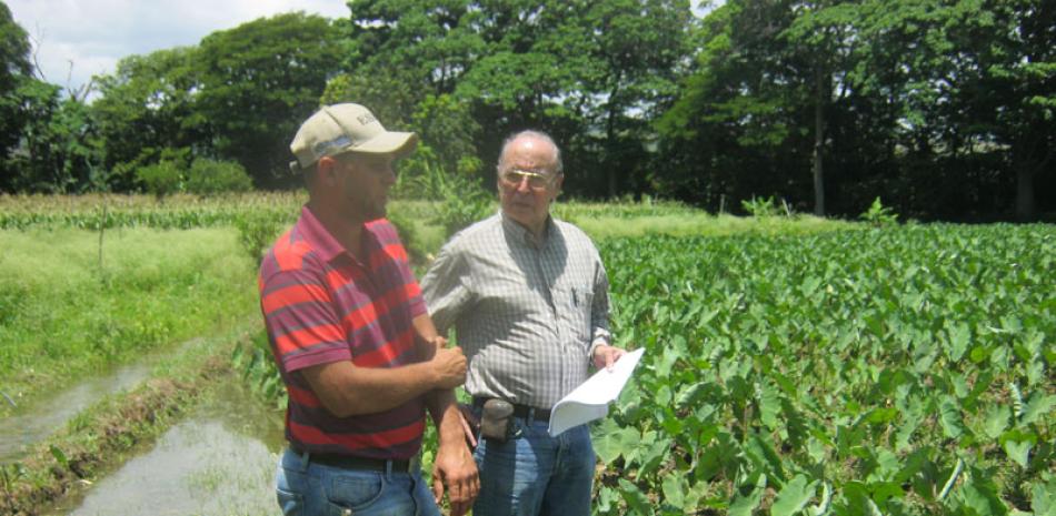 Dato. Según Toribio Taváres, el único obstáculo que han tenido en el desarrollo de los proyectos agrícolas es la falta de financiamiento.