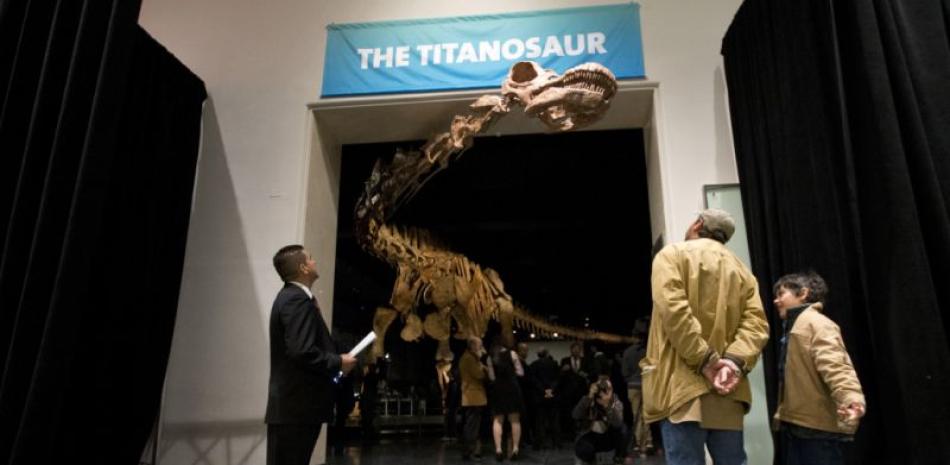 ARCHIVO - En esta fotografía de archivo del 14 de enero de 2016, visitantes examinan una réplica de un gigantesco dinosaurio llamado Titanosaurio mayorum de 37 metros (122 pies) de largo que es exhibida en el Museo de Historia Natural en Nueva York. (AP Foto/Mary Altaffer, Archivo)
