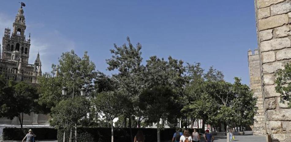 El Ayuntamiento de Sevilla ha reforzado la entrada al Alcázar en el casco antiguo, con la instalación de unos maceteros con árboles que contribuyen a garantizar la seguridad ciudadana.EFE/José Manuel Vidal.
