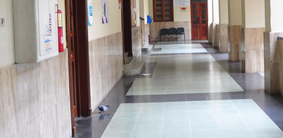 Los pasillos del Palacio de Justicia estaban vacíos, por lo que llamó la atención la presencia de una paloma.