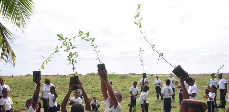 Jornada. Los niños participaron en la jornada de reforestación en el parque ecológico de Nigua, en la provincia San Cristóbal.