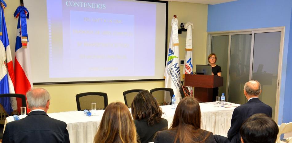 Cecilia Arroyo, subdirectora jurídica internacional de la Dirección General de Relaciones Económicas Internacionales (Direcon, del Ministerio de Relaciones Exteriores de Chile.