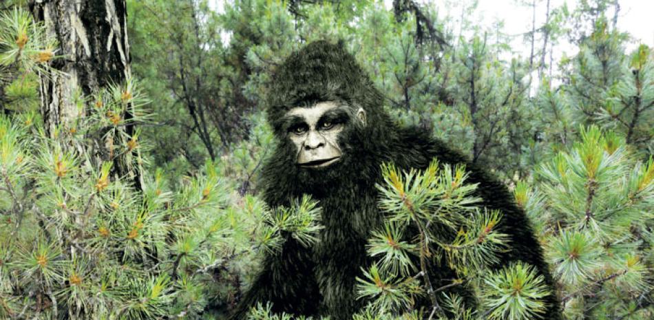 El trabajo defiende que “claramente, una gran parte de la leyenda del ‘Yeti’ tiene que ver con los osos”.