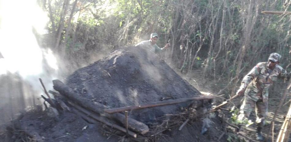 Preocupación. Los haitianos cruzan la frontera, se internan en las montañas dominicanas y talan árboles para la quema de carbón, que luego es llevado a Haití, donde se usa en gran escala entre familias pobres y de clase media baja.