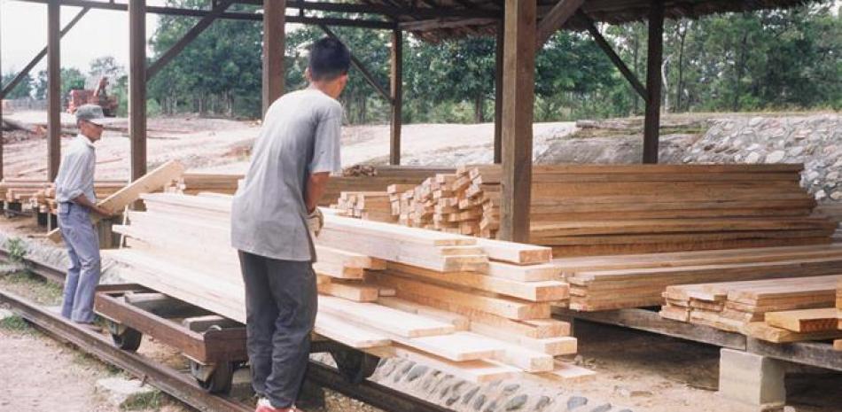 Bosques. Los residentes de Cumbre Villages dijeron que bueyes y sierras continúan depredando para sacar madera de pino, como se observa en esta foto de archivo de otra zona del país.