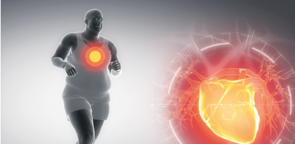 Importante. El exceso de grasa afecta importantes órganos, como el corazón provocando males terminantes.